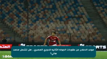 موعد الإعلان عن عقوبات الجولة الثانية للدوري المصري.. هل تشمل محمد هاني؟
